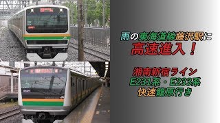 雨の東海道線藤沢駅に高速進入！湘南新宿ラインE231系・E233系快速籠原行き