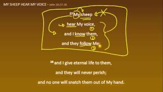 MY SHEEP HEAR MY VOICE - John 10:22-30