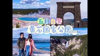 盐湖城-黄石自驾Vlog（下）｜五彩斑斓的间歇泉｜大棱镜泉｜猛犸温泉好干｜野生动物到处都有｜猎奇的爱达荷土豆博物馆