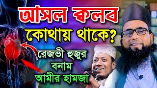 আসল কলব কোথায় থাকে জেনে নিন সঠিক উত্তর || হাবিবুর রহমান রেজভী বনাম বনাম আমির হামজা || তরিকত টিভি