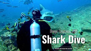 Unleashing the Wild: Shark Diving Adventure in Fiji's Beqa Lagoon (No Cages, 20m Deep)