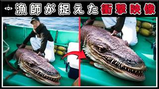 漁師たちが川で目撃した恐怖の怪物！口が2つある魚や3つの頭を持つカエル、常識を覆す奇妙な生物15選！