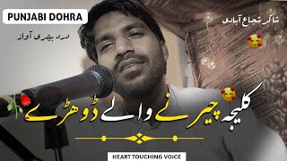 Shakir Shuja Abadi Dohrey | Punjabi Poetry | Heart Touching Voice Dohrey | Saraiki Shayari