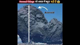 3 सबसे लंबी और बड़ी चीजें 😨 things and their real size    Facts'vacation |#shorts #ytshorts