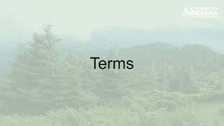 Basic Cataloging - Terms
