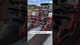 マルチ張り始まりました！🎥動画提供🎥すえづる農園〜鹿児島県産熟成さつまいも👨‍🌾👩‍🌾🍠〜（カット編集済み）#農家 #農girl農life #農業 #農業機械 #shorts