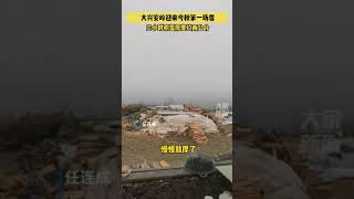 9月28日，黑龙江大兴安岭迎来今秋第一场雪雪，偃松枝条已被蒙上白雪＃黑龙江下雪＃大兴安岭