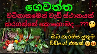 ගෙවත්ත වටිනාකමෙන් වැඩි කරගමු. | සාර ප්‍රභා 