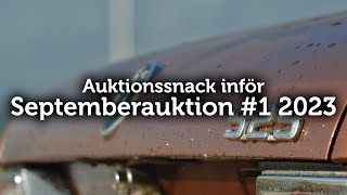 Auktionssnack inför Septemberauktion #1 2023