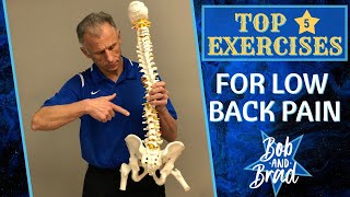 Top 5 Exercises For Chronic Low Back Pain