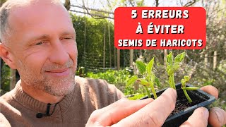 SEMIS DES HARICOTS ► 5 erreurs à éviter au potager