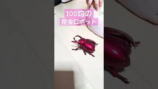 【カブトボーグみたい！】100均ロボット対決｜かっこいい昆虫バトルのおもちゃが100円ショップで100円で買える！｜キングオージャーみたいでかっこいい！｜カブトムシとクワガタのおもちゃ｜#Shorts