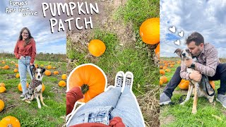 Freya's First Time at the Pumpkin Patch & Apple Orchard! 🎃🐶🍎 | vlogtober day 29