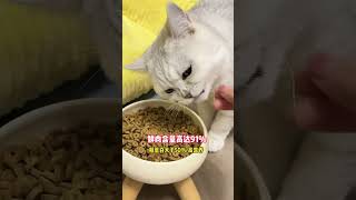 【小风车车】猫头被卡住的时候把师傅都吓一跳