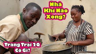 Cây Trồng Việt Nam đang Phát triển thế nào trong Trang trại 2Q Antonio?|| 2QVlogs Cuộc Sống Châu Phi