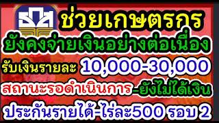 ประกันรายได้ข้าวจ่ายต่อเนื่อง#เงินชาวนา#จ่ายเงินชาวนา#ชาวนาปลูกข้าว#ไร่ละ500รอบ2#แผนจ่ายเงินชาวนา