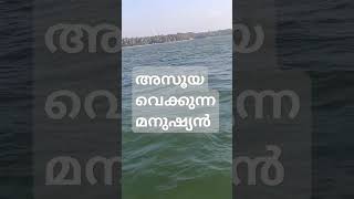 അസൂയ വെക്കുന്ന മനുഷ്യൻ #malayalam #islamictips #plzsubscribe 🙏😍🤲