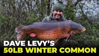 Dave Levy's 50lb Winter Common | UK Carp Fishing