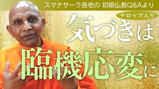 気づきは臨機応変に――四念処の実践方法｜スマナサーラ長老の切り抜き法話（初期仏教Q\u0026A）※テロップ入り #瞑想 #ヴィパッサナー #jtba