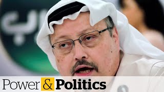 UN special rapporteur on public report into Khashoggi murder