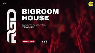 Big Room Sample Pack - Royalty-free Vocals, Samples & Presets