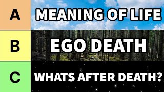 The Existential Crisis Tierlist