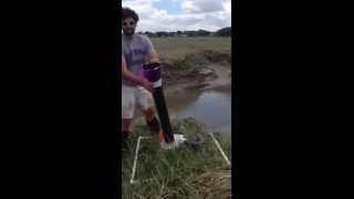 Marsh Life- suction sampling bugs