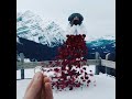 Rose Scene - Quick VFX Breakdown By Cpross7