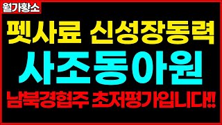 [사조동아원] 펫사료 신성장동력 장착!! 남북경협주 초저평가입니다!! 종목추천 추천주 주가 주가전망 급등주 주식추천 목표가 #월가황소