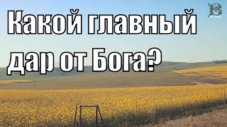 Какой главный дар от Бога? | Советы на Великий пост