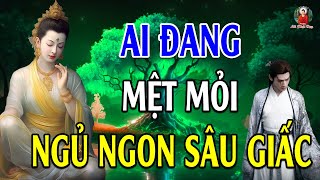 Đêm Trằn Trọc Khó Ngủ Mệt Mỏi Và Chán Nản Sẽ Tan Biến Khi Nghe Phật Dạy Ngủ Ngon #new