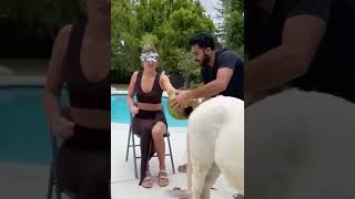 The end 😂😂😂 #viral #shorts #funny #fails #humorfolder#taggy part-14