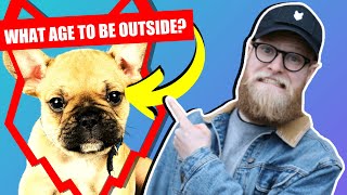 WHEN CAN MY FRENCH BULLDOG PUPPY GO OUTSIDE OR IN THE GARDEN?