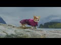 fjord raincoat rain jacket for dogs