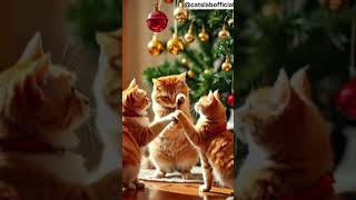 Ornament Jingle Jam: Sparkling Moves with Santa Baby \u0026 Cats. #jinglebells #jinglebellrock #cat#dance