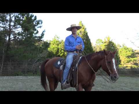 How do you relax when riding a horse?