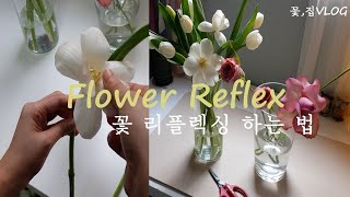 꽃,집VLOG | 꽃 리플렉싱 | How To Flower Reflex