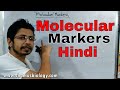 Molecular Markers | RFLP, RAPD, AFLP, SNP