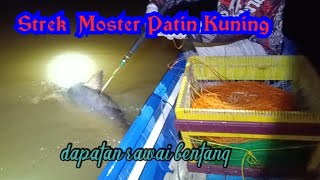 Dobell Strek dapat ikan patin jumbo hasil merawai