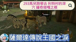 【王國之淚】293馬兒跑哪去 利特村的深穴 薩奇塔嘎之根【薩爾達傳說】