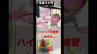 【生後５か月もうハイハイ始めます😱】信じられない成長。#shorts #育児 #生後5か月 #子育て #はいはい #baby #成長