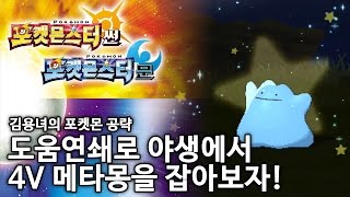 포켓몬스터 썬문 야생에서 4V 메타몽 잡는법! 김용녀 공략 (Pokemon Sun/Moon)