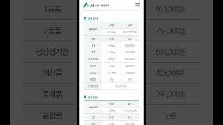 2023년 국내산 송이버섯 공판가격 #박근혜 #문재인 #민노총 #파업 #민주노총 #이명박 #광우병 #집회 #대통령 #이재명