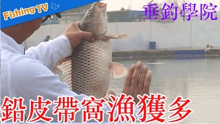 铅皮带窝让你夏钓黑坑事半功倍，钓鱼人赶紧试试~|垂钓学院Fishing Academy|快乐垂钓频道