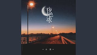 夜色浓 (伴奏)