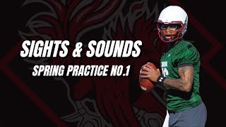 Sights & Sounds: Spring football practice No.1 for South Carolina | 2024