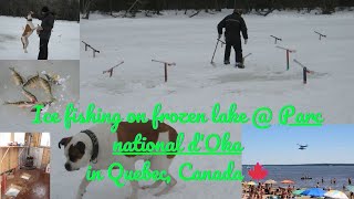 Ice fishing on frozen lake @ Parc national d'Oka in Quebec, Canada 🍁 #montrealtourism #icefishing