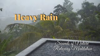 Shower / Rain on the roof of the house / Sounds for sleep