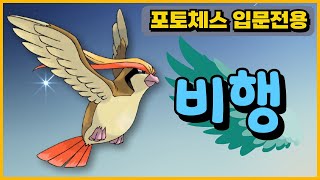 포토체스) 비행덱 하는 방법 / 추천 전설 / 추천 템트리