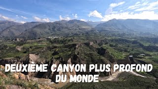 Le Canyon de Colca au Pérou!